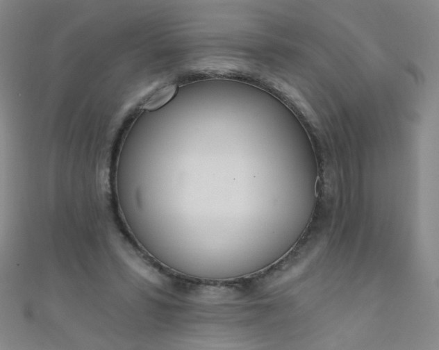 X0000110980399200907022100