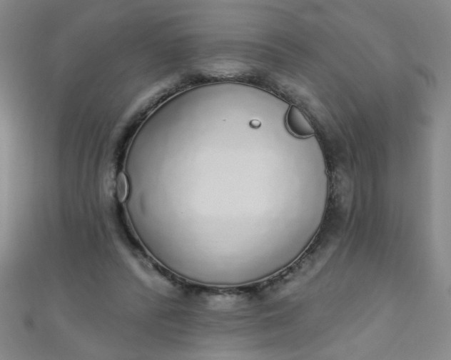 X0000110980400200907022100