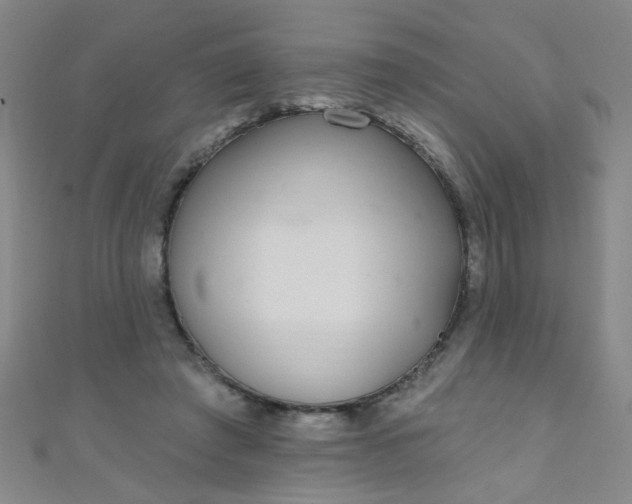 X0000110980401200907022100