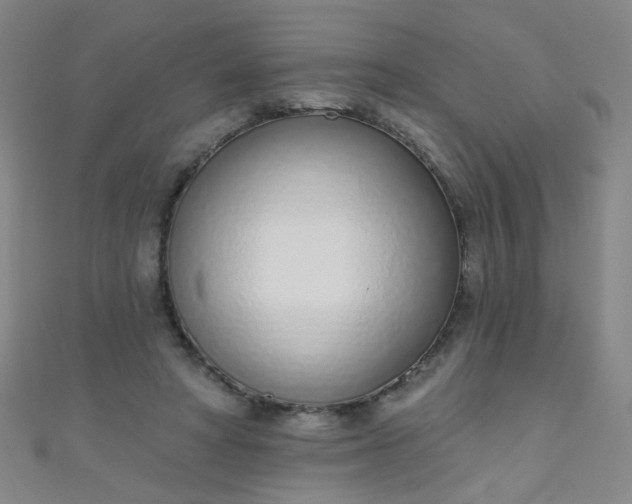 X0000110980402200907022100