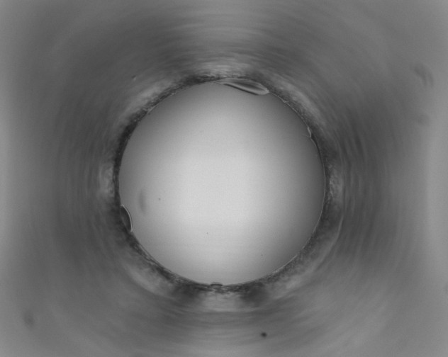 X0000110980403200907022100