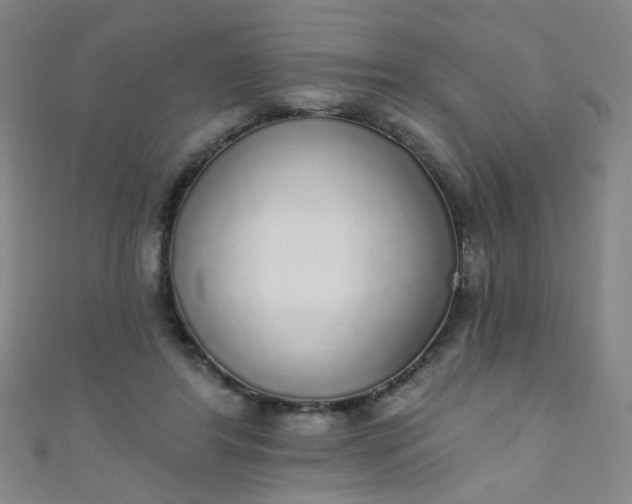 X0000110980404200907022100