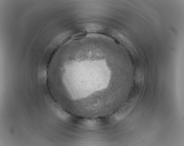 X0000110980405200907022100