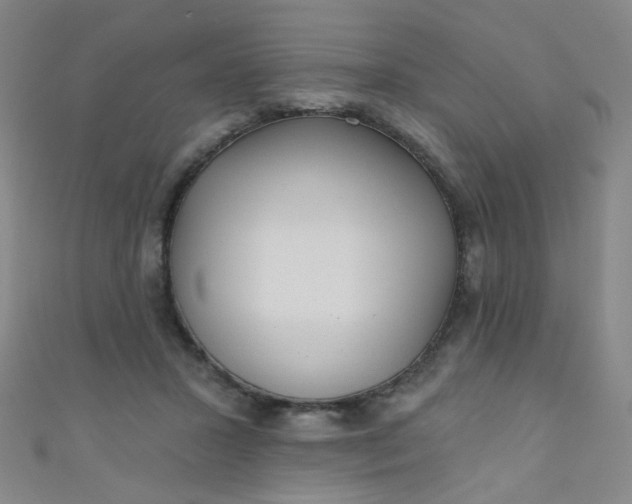 X0000110980407200907022100