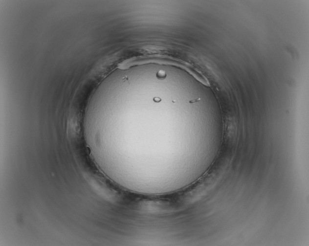 X0000110980408200907022100