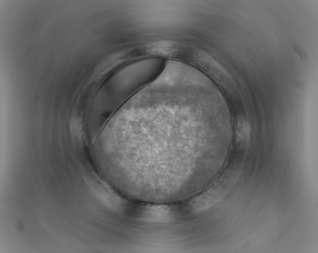 X0000110980409200907022100