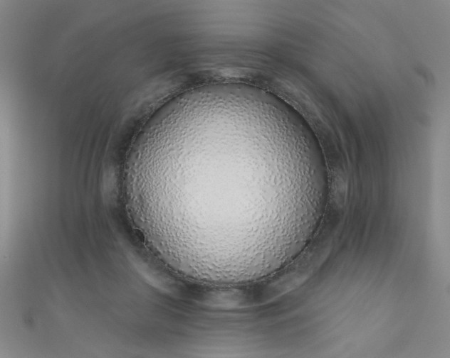 X0000110980410200907022100