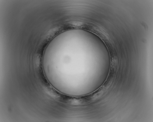 X0000110980412200907022100