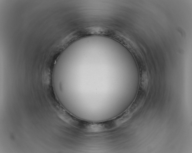 X0000110980413200907022100