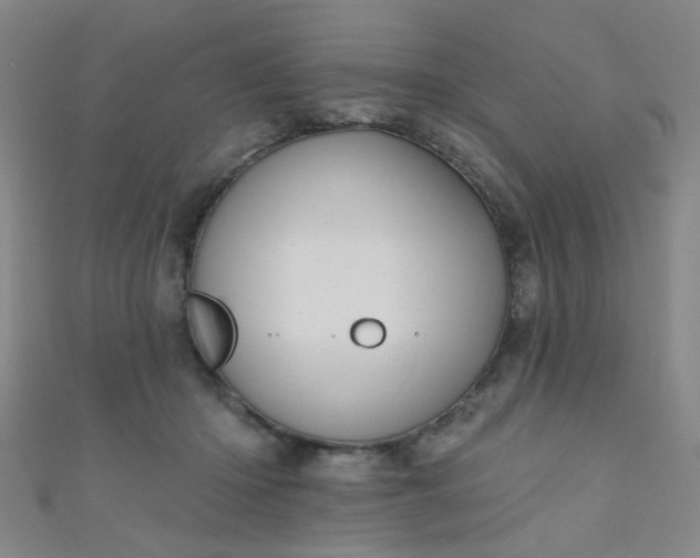 X0000110980414200907022100