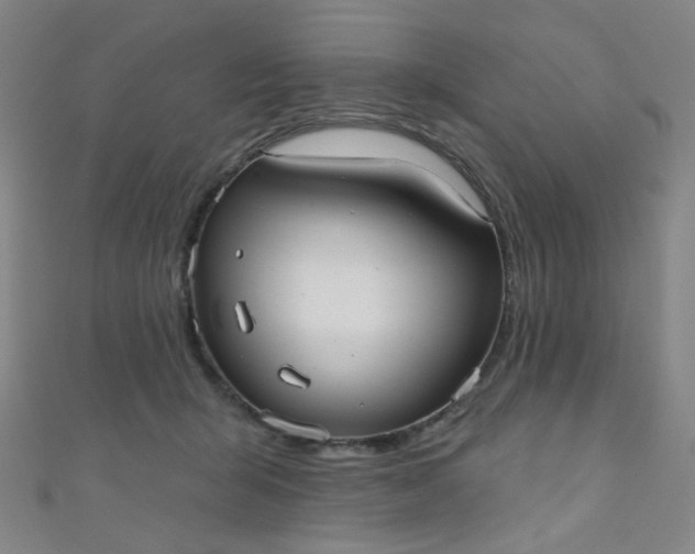 X0000110980415200907022100