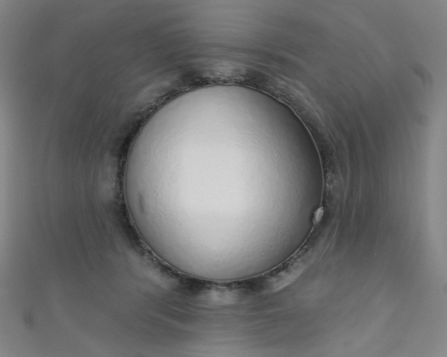 X0000110980416200907022100