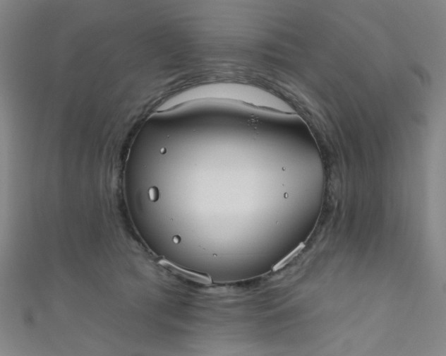 X0000110980417200907022100