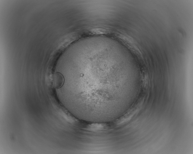 X0000110980418200907022100