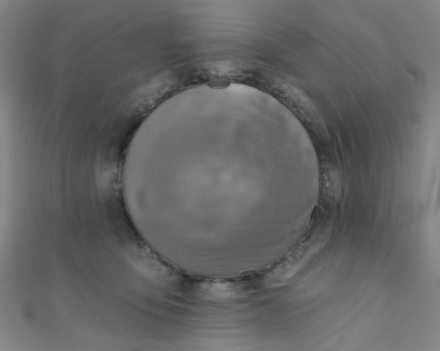 X0000110980419200907022100