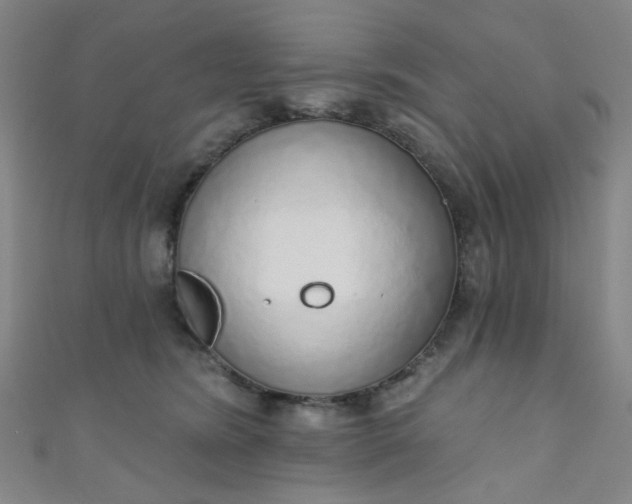 X0000110980420200907022100