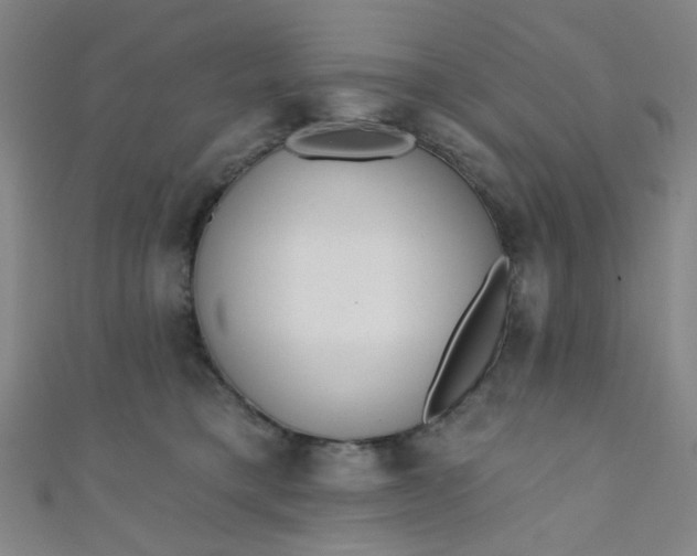 X0000110980421200907022100