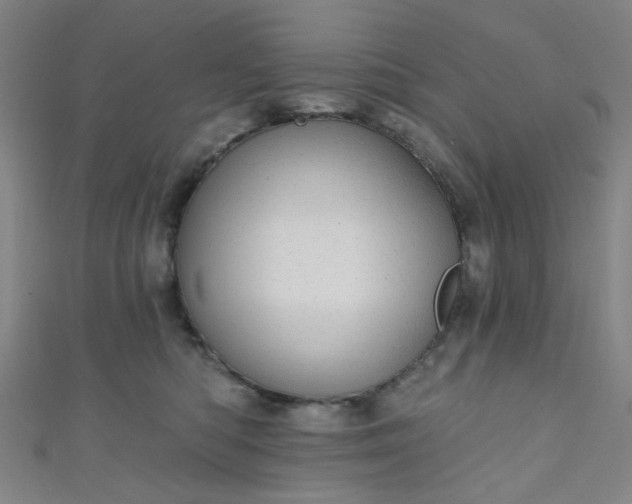 X0000110980422200907022100