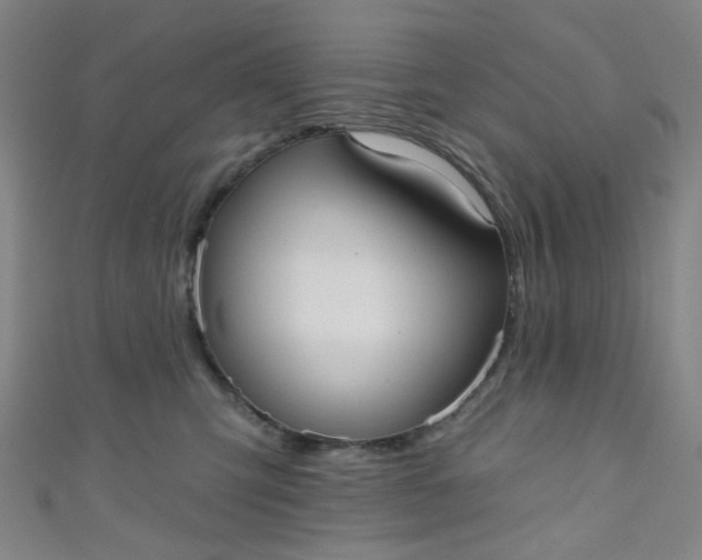 X0000110980423200907022100