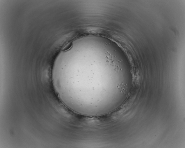 X0000110980424200907022100