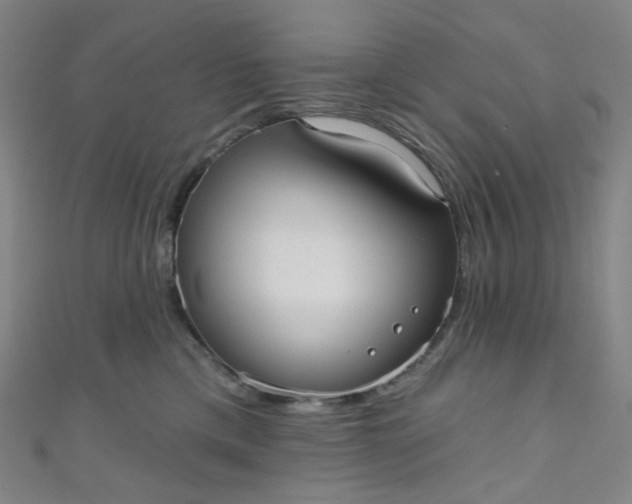 X0000110980425200907022100