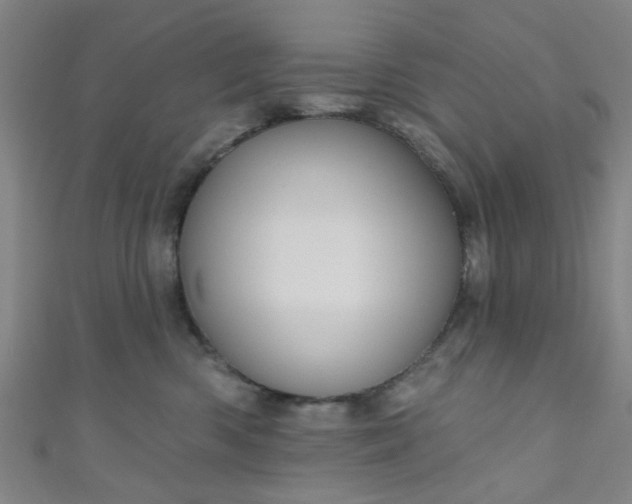 X0000110980426200907022100