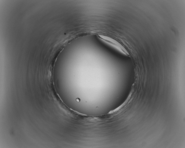 X0000110980427200907022100