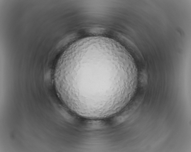 X0000110980428200907022100