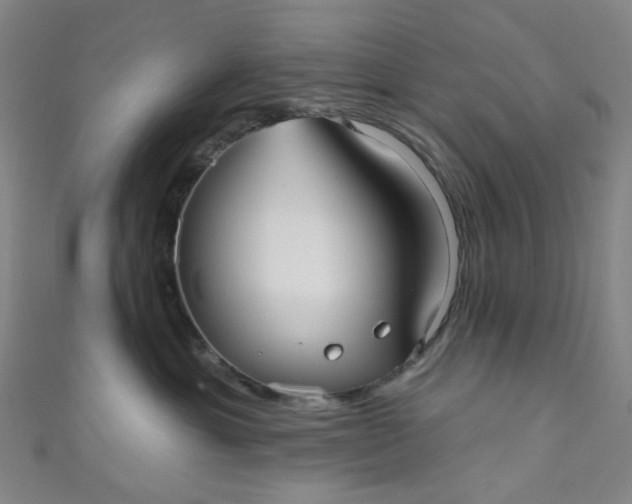 X0000110980429200907022100