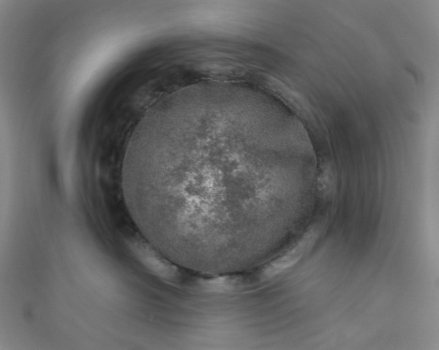 X0000110980430200907022100