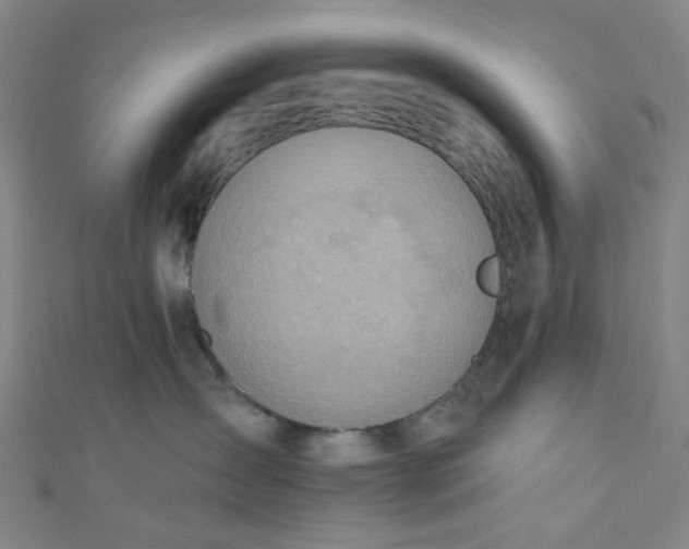 X0000110980431200907022100