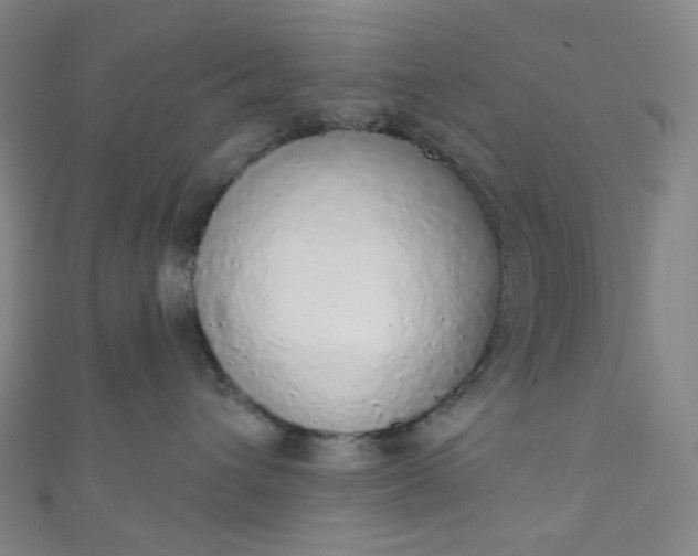 X0000110980432200907022100