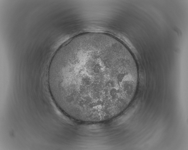 X0000110980433200907022059