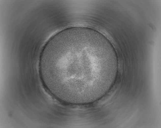 X0000110980434200907022059