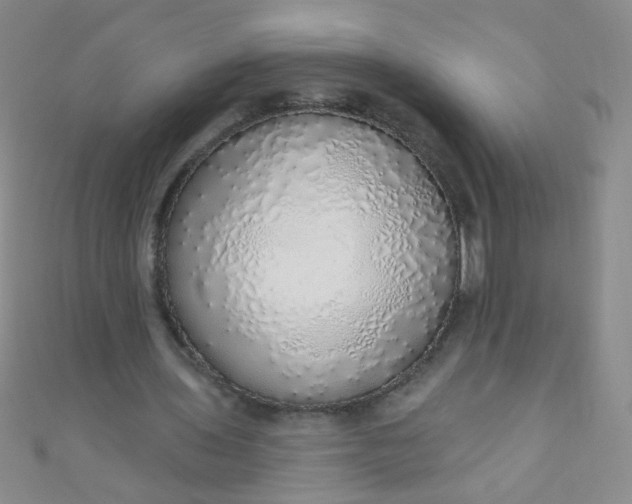 X0000110980435200907022059