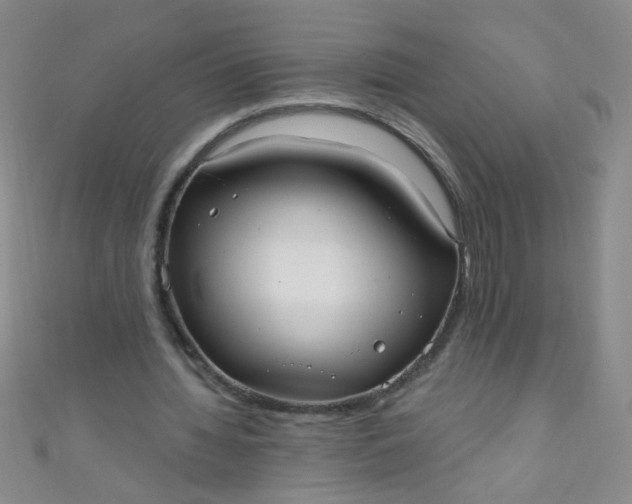 X0000110980436200907022059