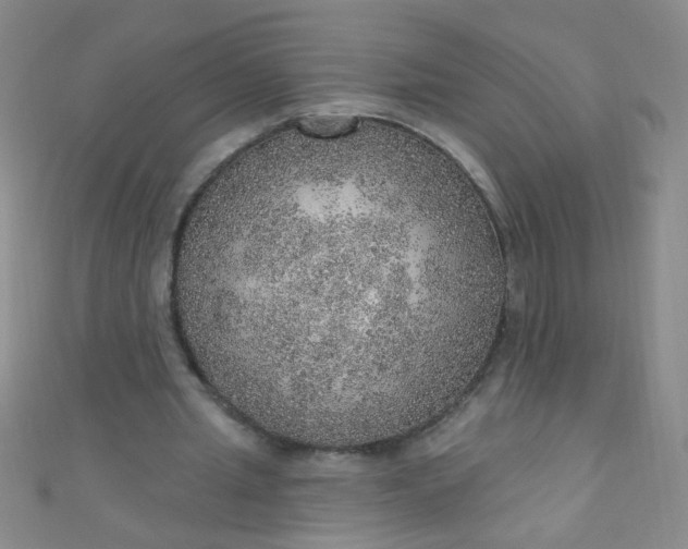 X0000110980437200907022059