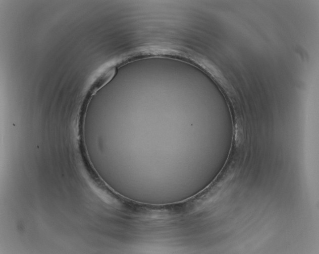 X0000110980438200907022059