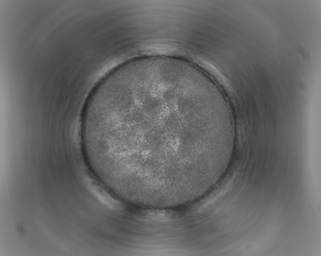 X0000110980439200907022059