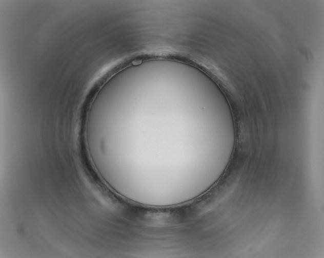 X0000110980440200907022059