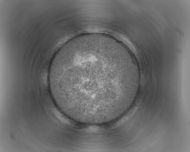 X0000110980441200907022059