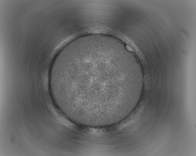 X0000110980442200907022059