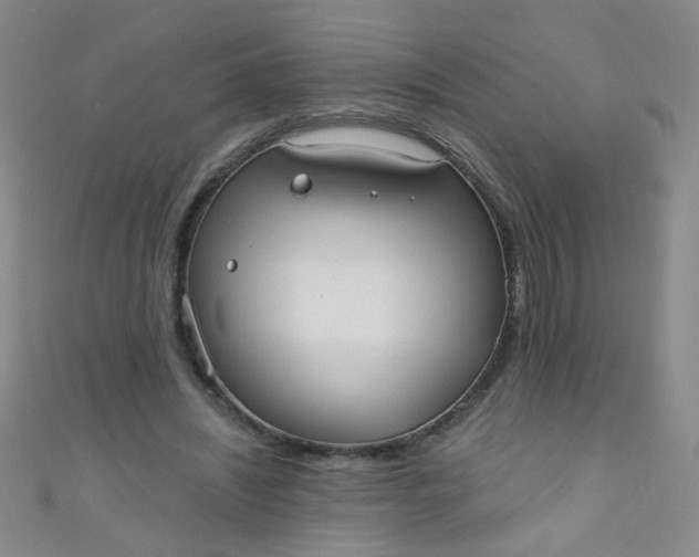 X0000110980444200907022059