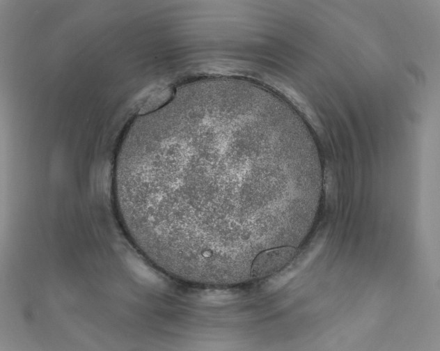 X0000110980445200907022059