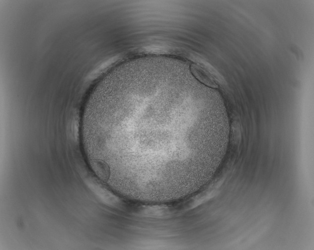 X0000110980446200907022059