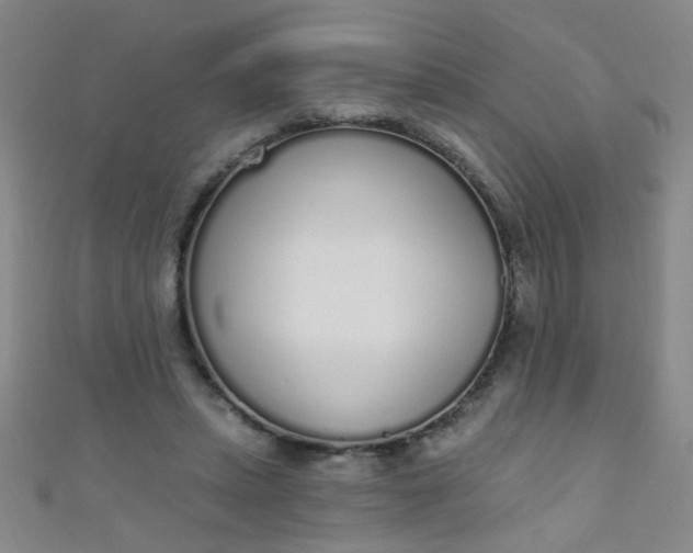 X0000110980447200907022059