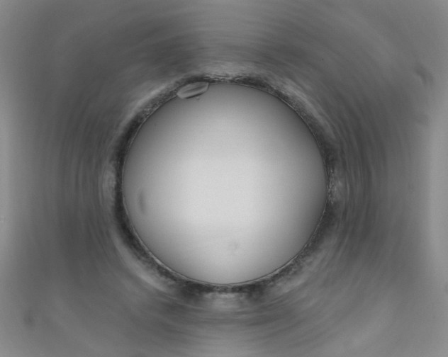 X0000110980448200907022059