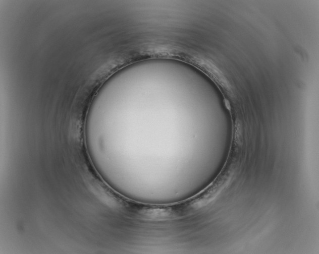 X0000110980449200907022059