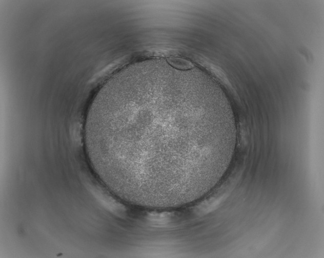 X0000110980450200907022059