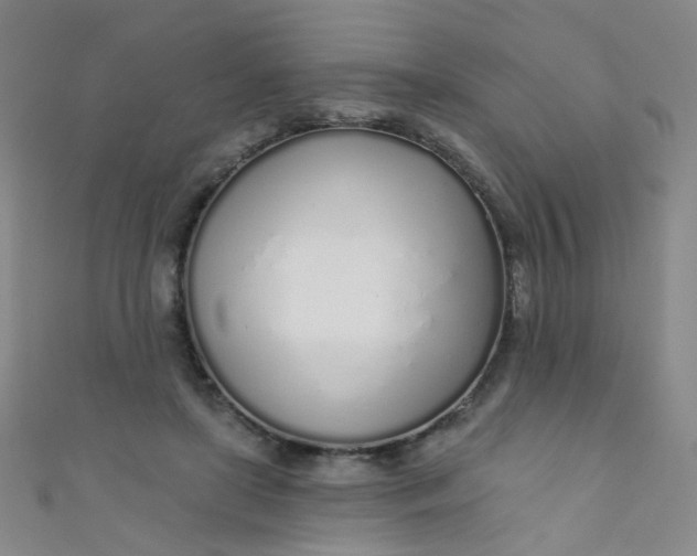 X0000110980451200907022059